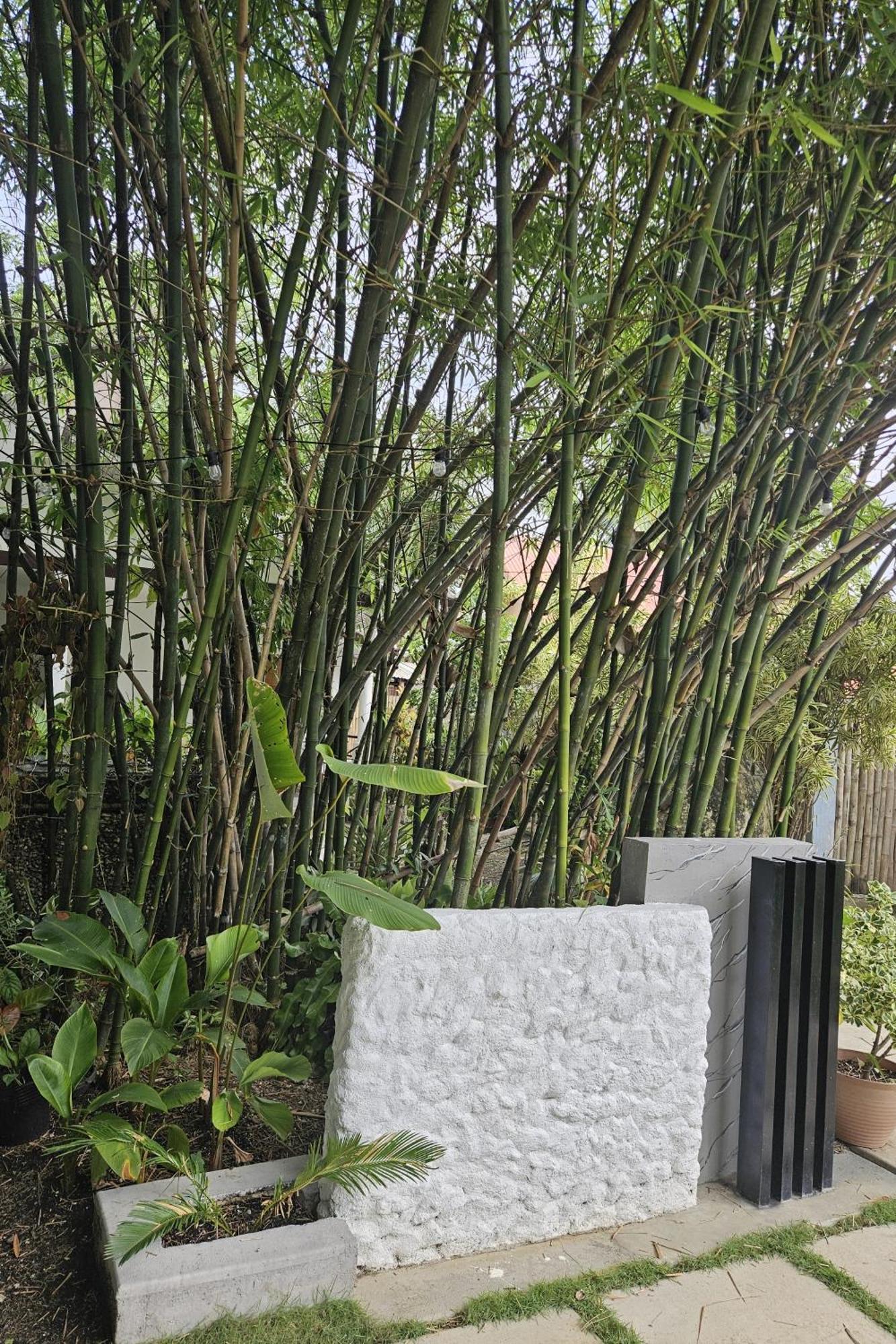 Oceanside 2 Bedroom House, 100Mbps Wifi ปางเลา ภายนอก รูปภาพ