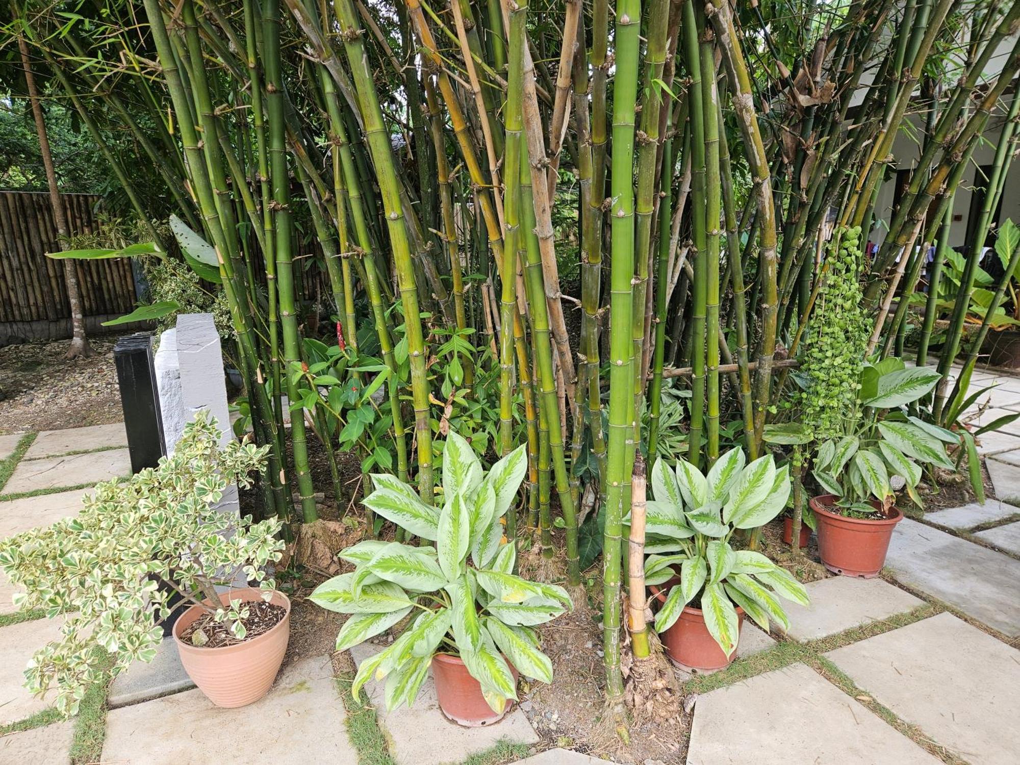 Oceanside 2 Bedroom House, 100Mbps Wifi ปางเลา ภายนอก รูปภาพ