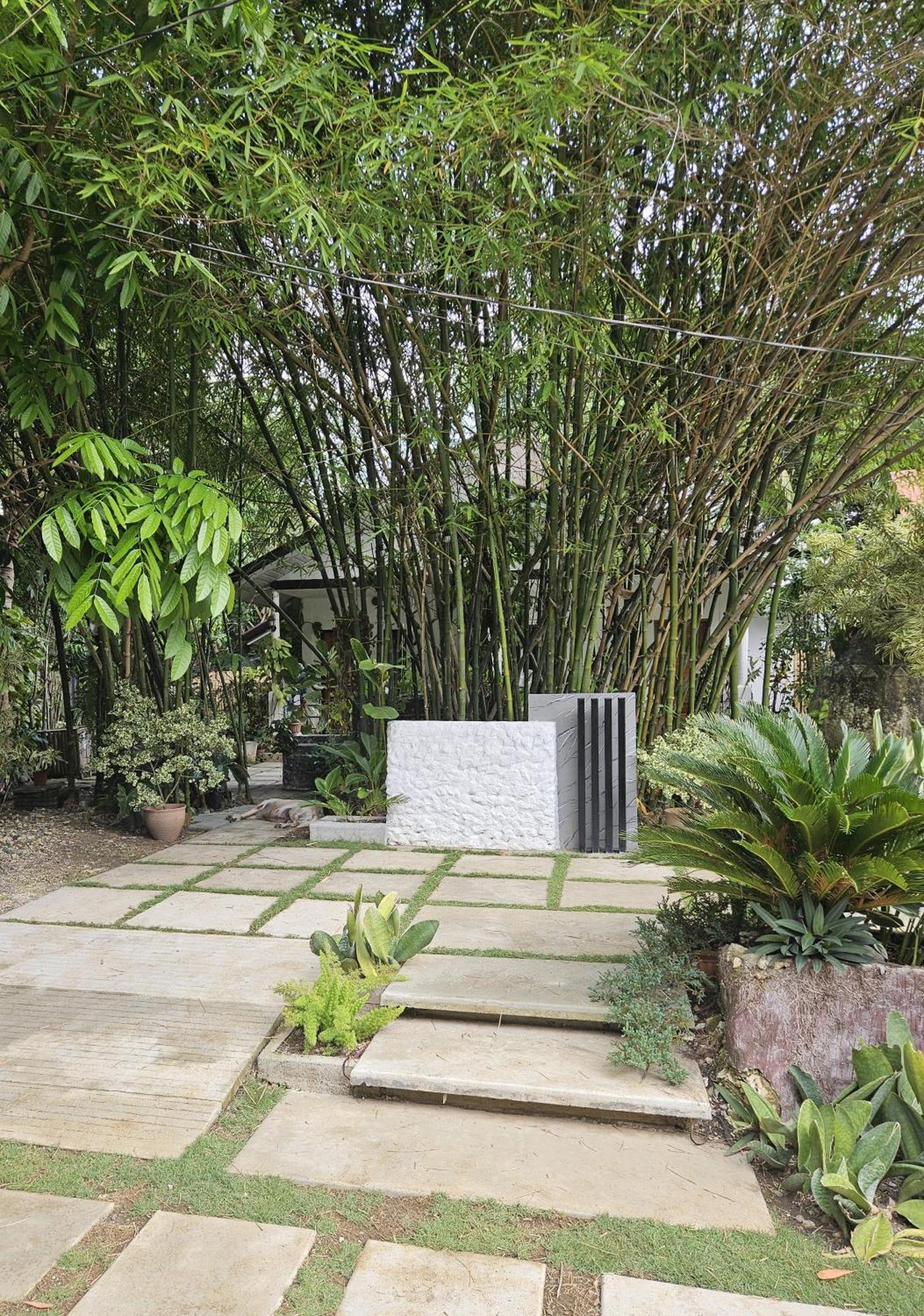 Oceanside 2 Bedroom House, 100Mbps Wifi ปางเลา ภายนอก รูปภาพ